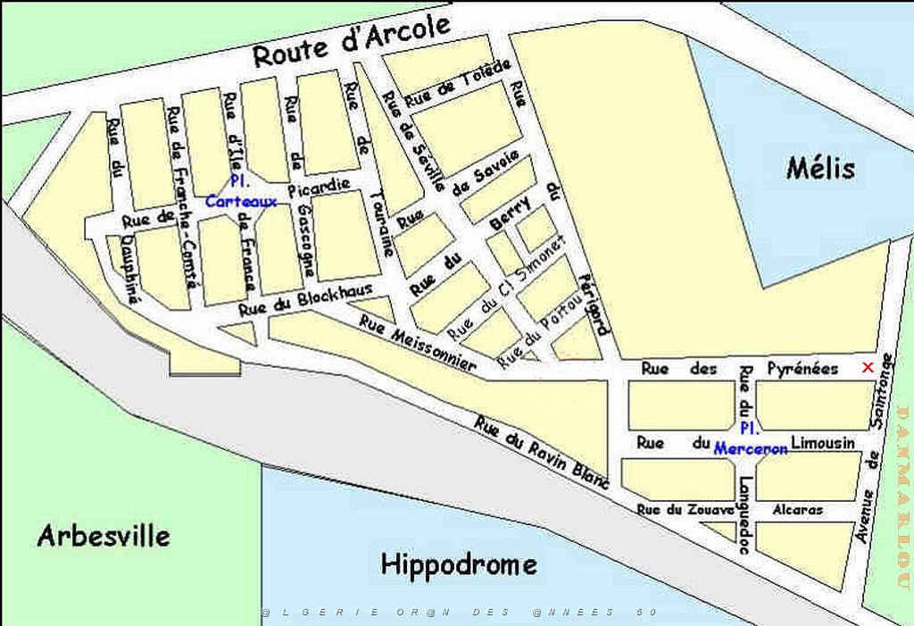 LES RUES DE MA JEUNESSE A ORAN 1.jpg